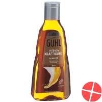 Guhl Intensive Kräftigung Shampoo (neu) Flasche 250ml