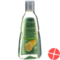Guhl Frische&leichtig Anti-Fett Shampoo Flasche 250ml