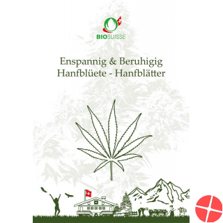 Herba Bio Suisse Hanfblütentee 11 Beutel 1.1g
