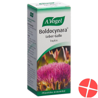 Vogel Boldocynara Leber-Galle Tropfen Flasche 50ml
