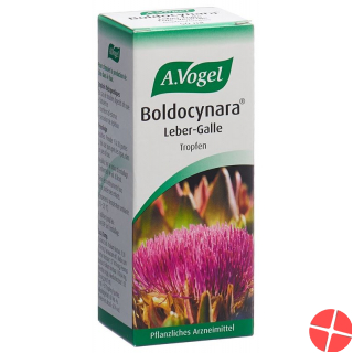 Vogel Boldocynara Leber-Galle Tropfen Flasche 50ml