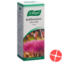 Vogel Boldocynara Leber-Galle Tropfen Flasche 100ml