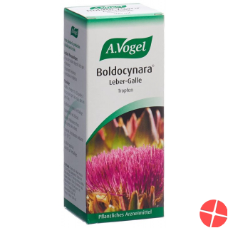 Vogel Boldocynara Leber-Galle Tropfen Flasche 100ml