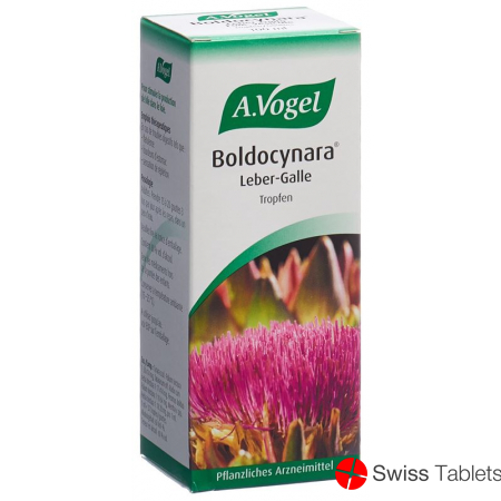 Vogel Boldocynara Leber-Galle Tropfen Flasche 100ml buy online
