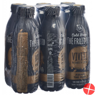 Vivitz Bio Eistee Cold Brew Bla Tea 6 X 0.5L