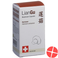 LianGu Hericium Mushrooms Capsules Can 60 Pieces