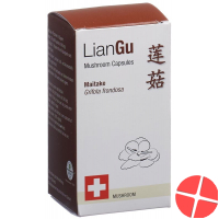 LianGu Maitake Mushrooms Capsules Can 60 Pieces