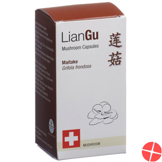 LianGu Maitake Mushrooms Capsules Can 60 Pieces
