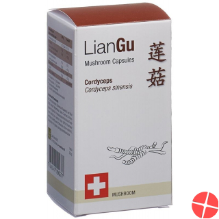 LianGu Cordyceps Mushrooms Capsules Can 60 Pieces