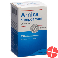 Arnica Comp Heel Tabletten Ad Us Vet. Dose 250 Stück