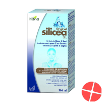Huebner Silicea Gel mit Biotin Haare&haut 500ml