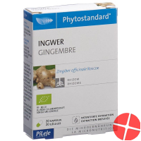 Phytostandard Ginger capsules organic 20 pieces