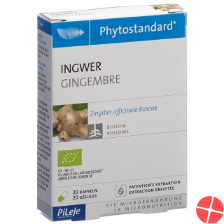 Phytostandard Ginger capsules organic 20 pieces