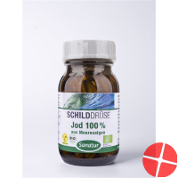 Sanatur Jod Kapseln Bio 100% Pflanzlich Glas 60 Stück