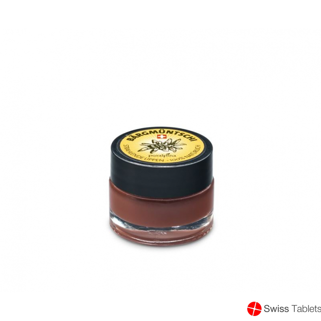 Puralpina Baergmuentschi Lipgloss Topf 5ml buy online