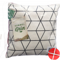 Aromalife pine cushion 20x20cm Modern