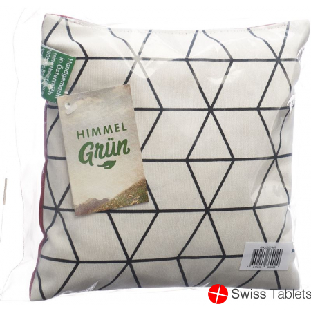 Aromalife pine cushion 20x20cm Modern buy online