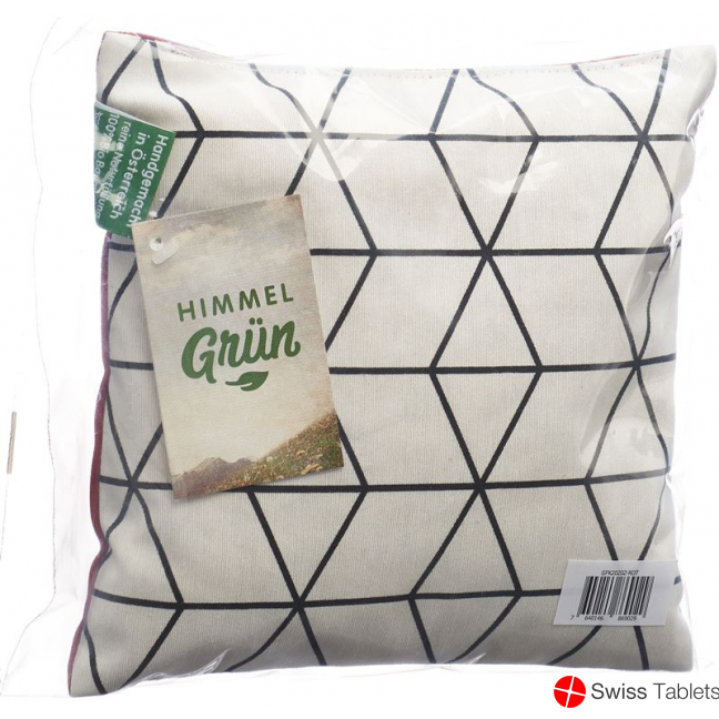 Aromalife pine cushion 20x20cm Modern buy online
