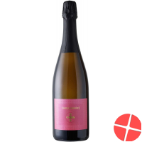 Vino Frizzante D`italia Rosato Se Parole 6x 75cl Vino Frizzante D`italia Rosato Se Parole 6x 75cl