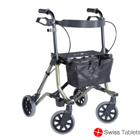 Dietz Rollator Taima M C1 mit Rückenlehne Grün M buy online