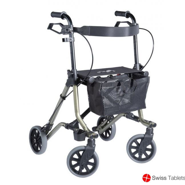 Dietz Rollator Taima M C1 mit Rückenlehne Grün M buy online