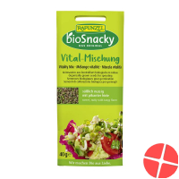Biosnacky Vital Mischung Beutel 40g