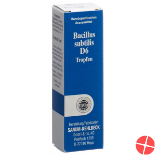 Sanum Bacillus Subtilis Tropfen D 6 (neu) Flasche 5ml