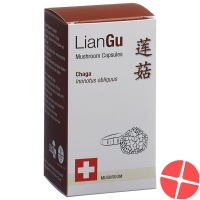 LianGu Chaga Mushrooms Capsules Can 60 Pieces