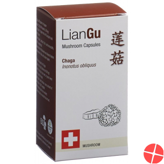 LianGu Chaga Mushrooms Capsules Can 60 Pieces