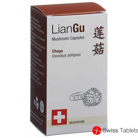LianGu Chaga Mushrooms Capsules Can 60 Pieces buy online