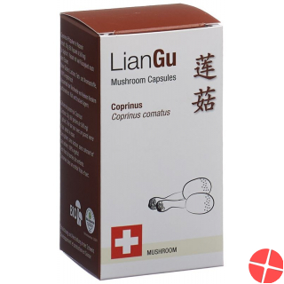 LianGu Coprinus Mushrooms Capsules Can 60 Pieces