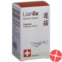 LianGu Cordyceps Mushrooms Capsules Can 180 Pieces