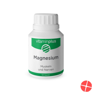 Vitaminplus Magnesium Kapseln Dose 120 Stück