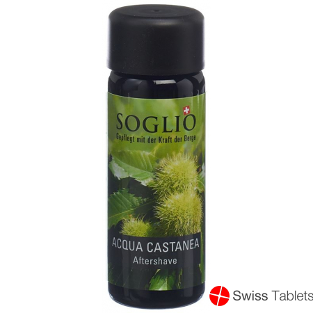 Soglio Aqua Castanea Flasche 100ml buy online