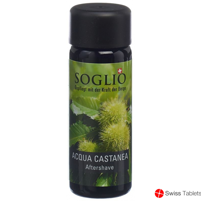 Soglio Aqua Castanea Flasche 100ml buy online