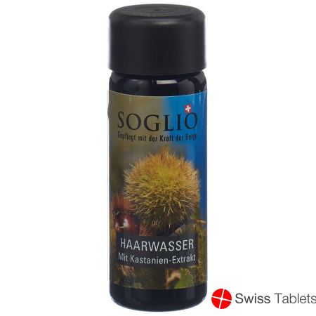 Soglio Haarwasser mit Kastanien-Extrakt Flasche 100ml buy online