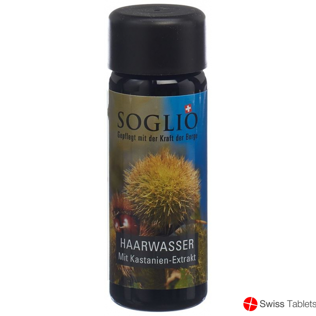 Soglio Haarwasser mit Kastanien-Extrakt Flasche 100ml buy online