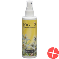 Soglio Handspray Flasche 100ml
