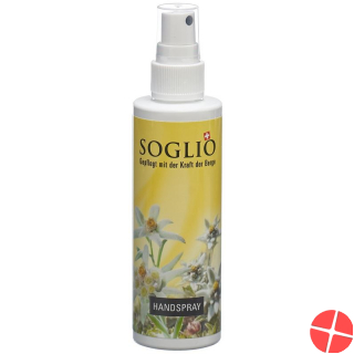 Soglio Handspray Flasche 100ml