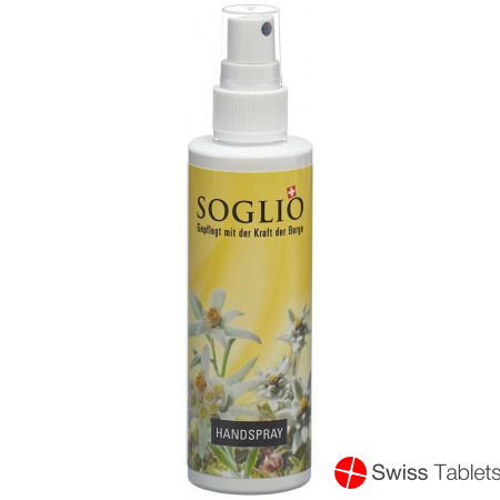 Soglio Handspray Flasche 100ml buy online