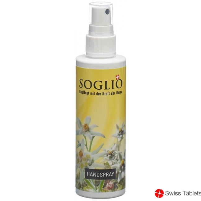Soglio Handspray Flasche 100ml buy online
