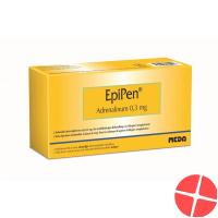 Epipen Injektionslösung 0.3mg Auto Injektor 2 Stück