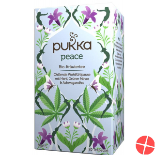Pukka Peace Tee Bio 20 Beutel