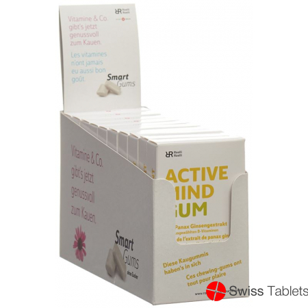 R&r Active Mind Gum 10x 24 Stück buy online