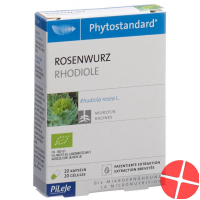 Phytostandard Rosenwurz Kapseln Bio 20 Stück