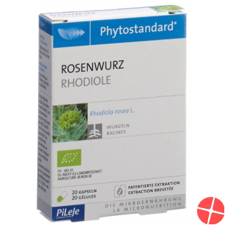 Phytostandard Rosenwurz Kapseln Bio 20 Stück