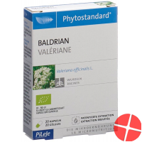 Phytostandard Baldrian Kapseln Bio 20 Stück