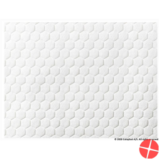 Biatain Fiber Gelier Faserverband 19x25cm 10 Stück