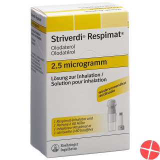 Striverdi Respimat Inhal Lös 2.5 mcg / stroke reusable 60 Dos