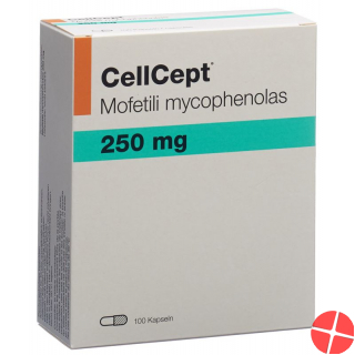 Cellcept (pi) Kapseln 250mg 100 Stück